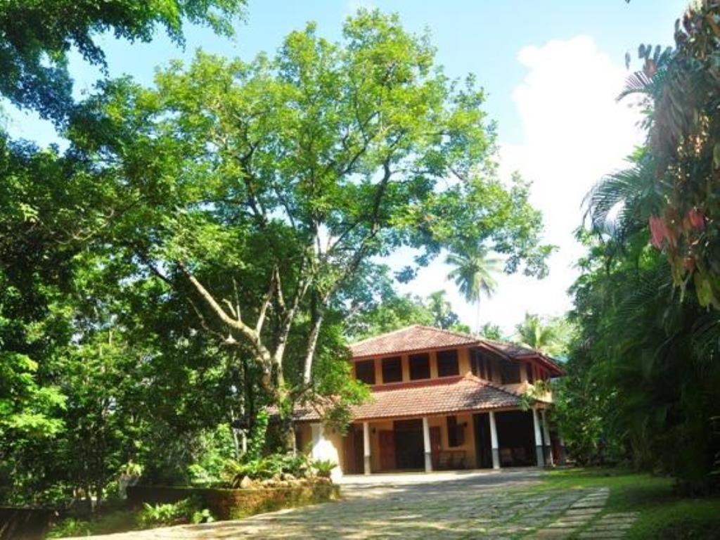 Nature Lovers Resort Ingiriya Exteriér fotografie